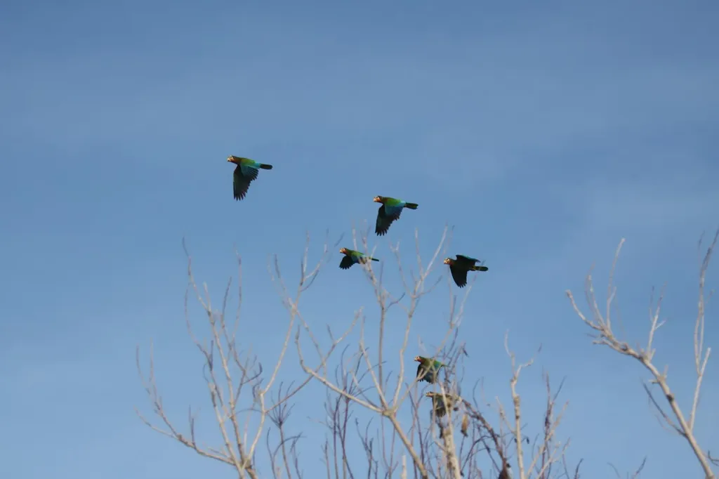 Isl Home Dev, Long Beach Abaco BS