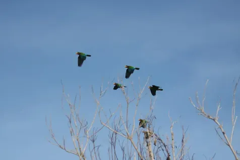 Isl Home Dev, Long Beach Abaco BS