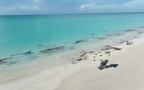 Lot 20, Hawks Nest Cat Island BS