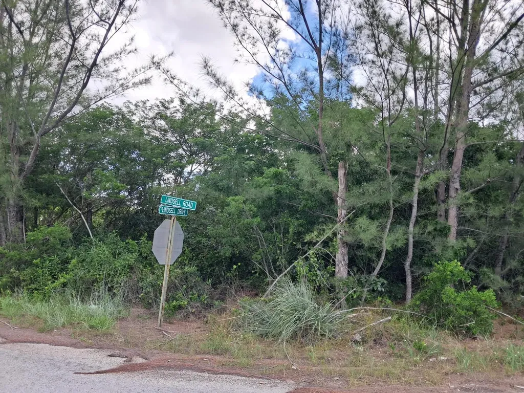 Lindsell Drive 1 Grand Bahama Freeport BS