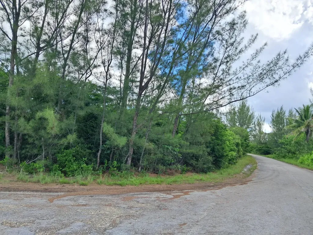 Lindsell Drive 1 Grand Bahama Freeport BS