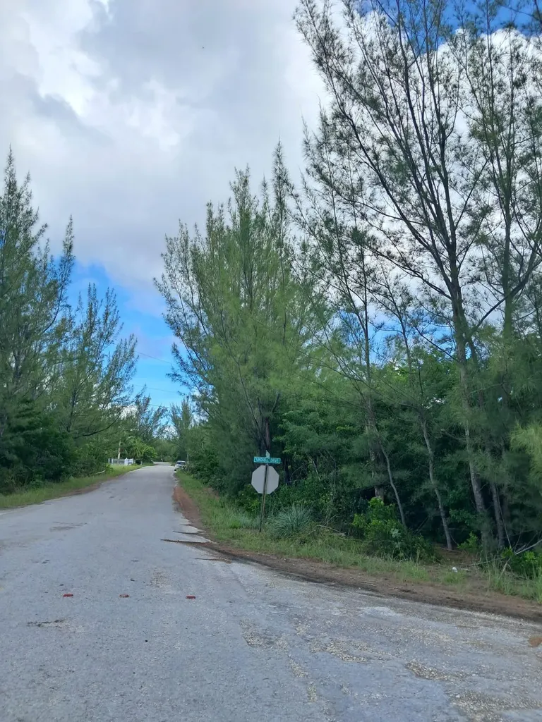 Lindsell Drive 1 Grand Bahama Freeport BS