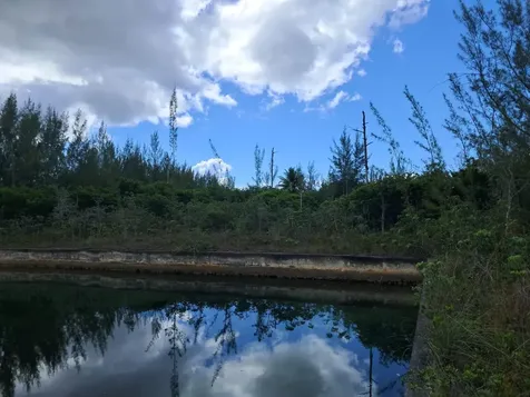 Lindsell Drive 1 Grand Bahama Freeport BS