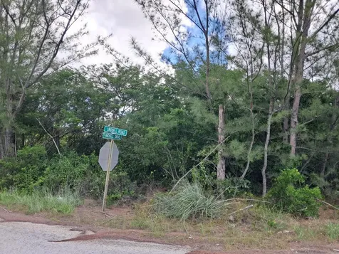 Lindsell Drive 1 Grand Bahama Freeport BS