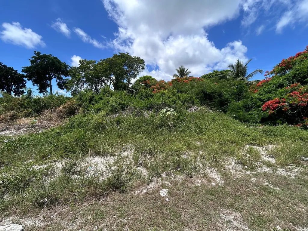 Lot #269, Tulip Drive New Providence Paradise Island BS