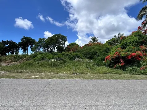 Lot #269, Tulip Drive New Providence Paradise Island BS