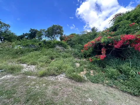 Lot #269, Tulip Drive New Providence Paradise Island BS