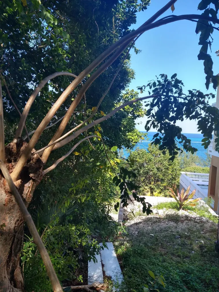 West Bay Street New Providence Paradise Island BS