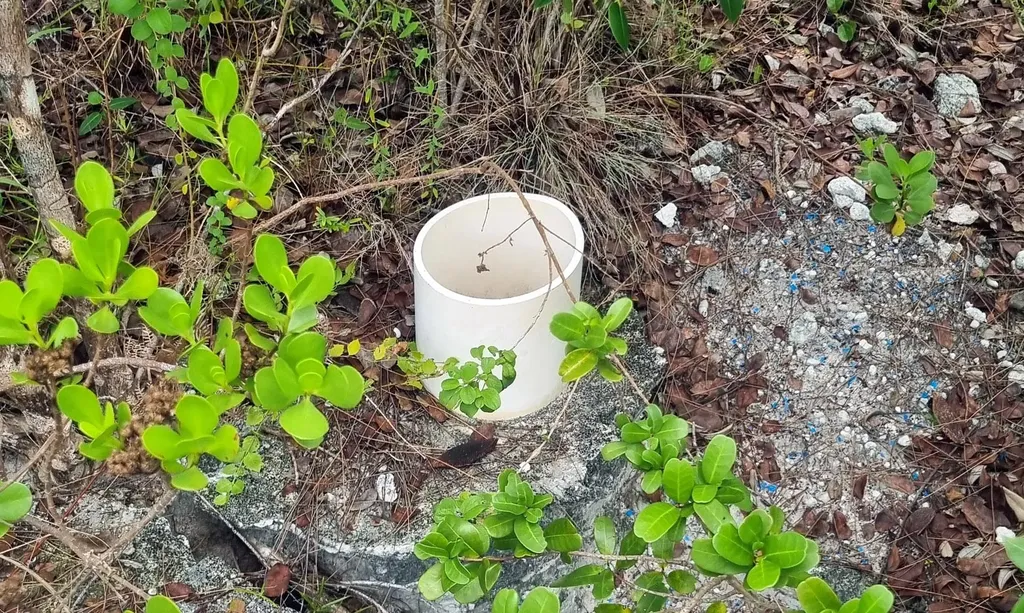 9 Acres At High Banks Abaco BS