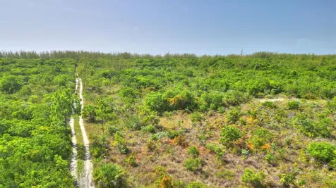 9 Acres At High Banks Abaco BS