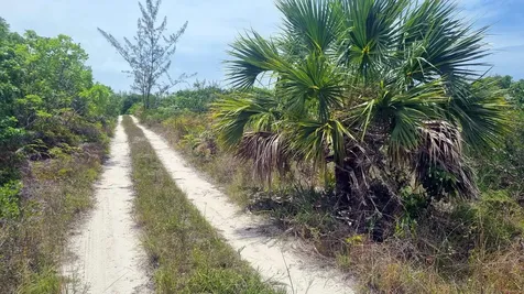 9 Acres At High Banks Abaco BS