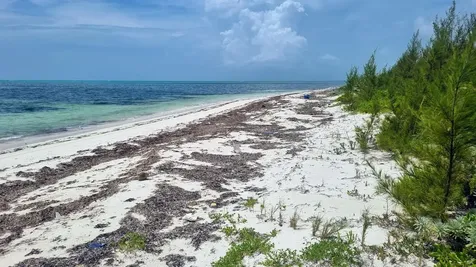 9 Acres At High Banks Abaco BS