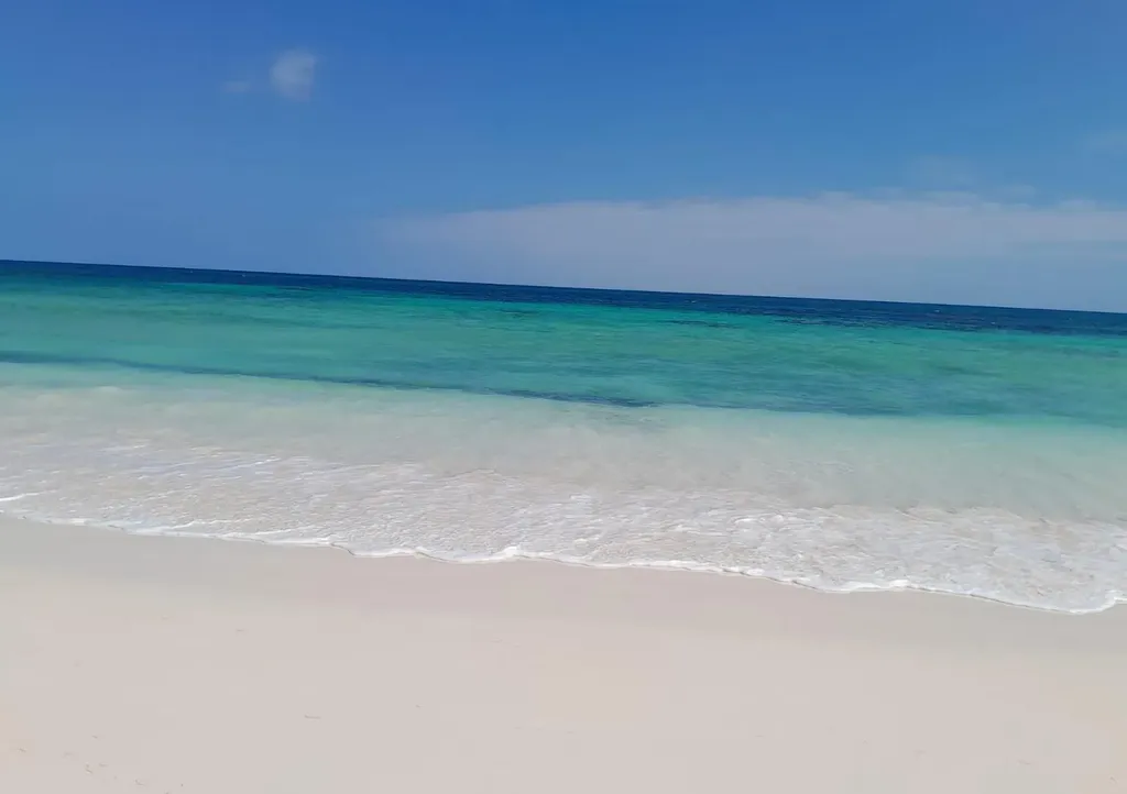 Cat Island Acreage Cat Island BS