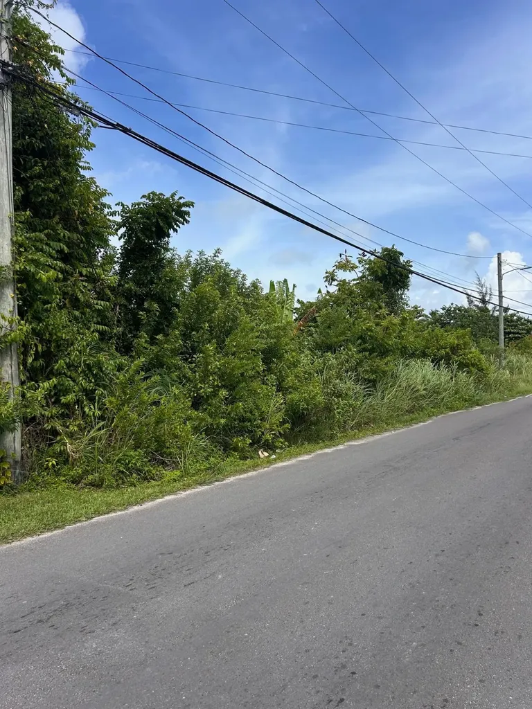 Palm Beach Drive New Providence Paradise Island BS