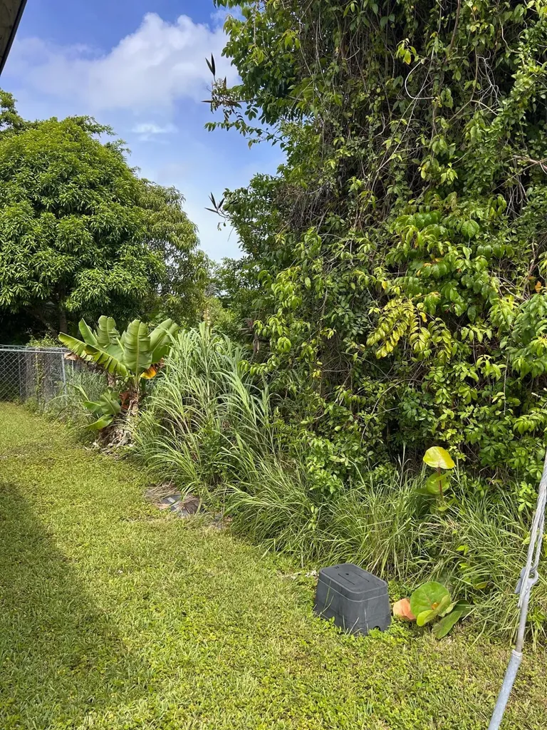 Palm Beach Drive New Providence Paradise Island BS