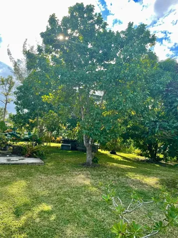 Coral Lakes Subdivision New Providence Paradise Island BS