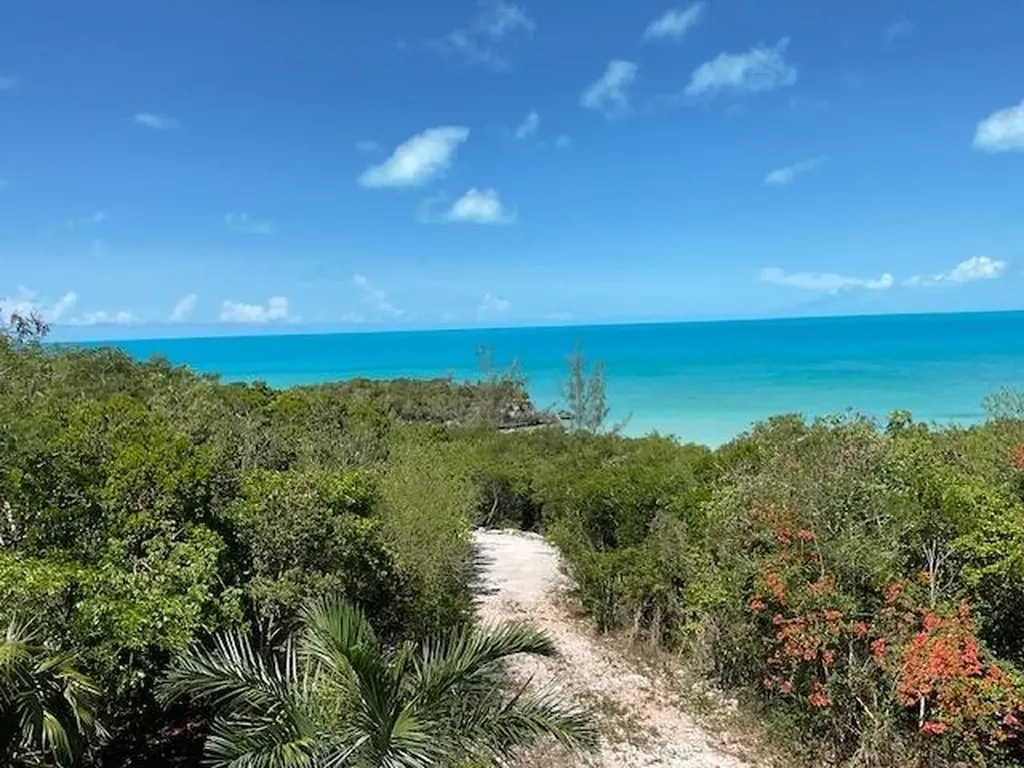 Estate In Bain's Bluff Long Island BS