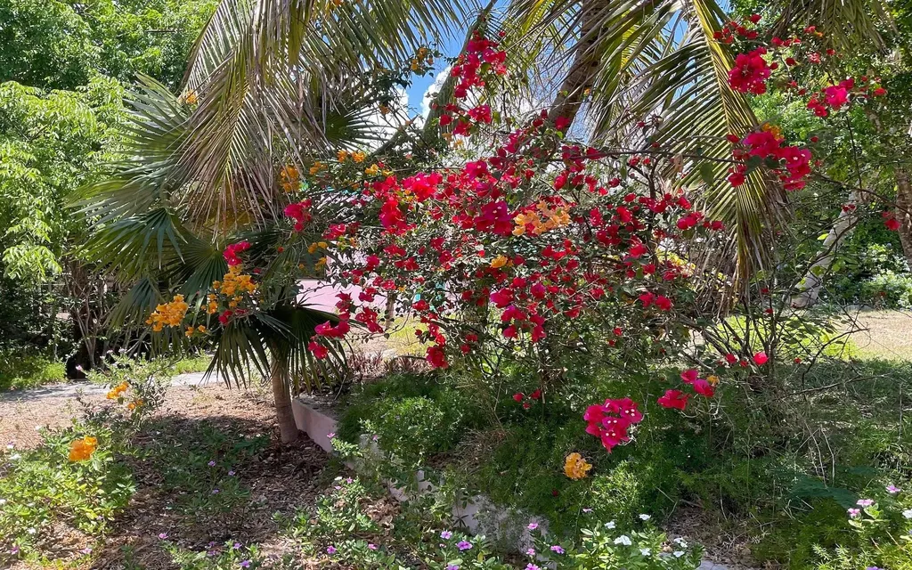 Estate In Bain's Bluff Long Island BS