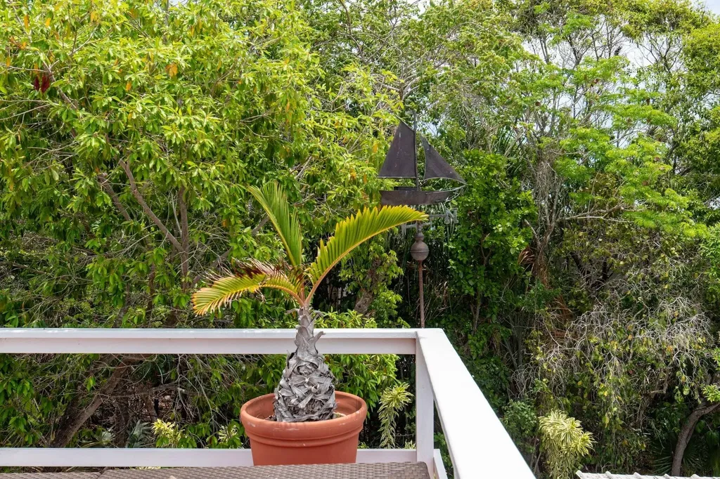 Sunny Days Eleuthera BS