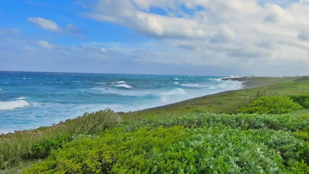 Tilloo Pond Estate Abaco BS