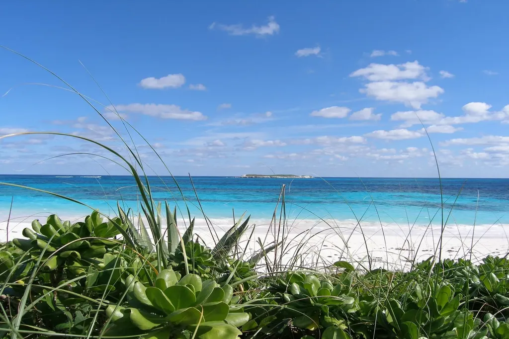 Plage Rose Beachfront Lot Eleuthera BS