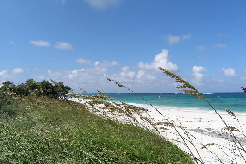Plage Rose Beachfront Lot Eleuthera BS