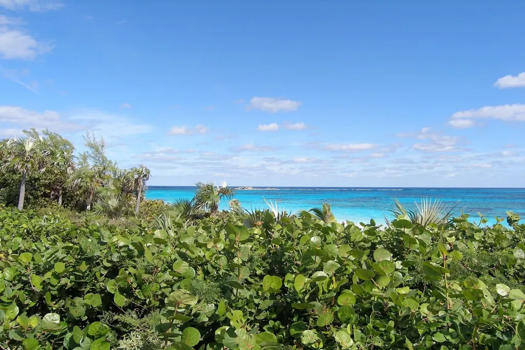 Plage Rose Beachfront Lot Eleuthera BS