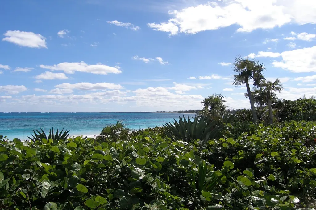 Plage Rose Beachfront Lot Eleuthera BS