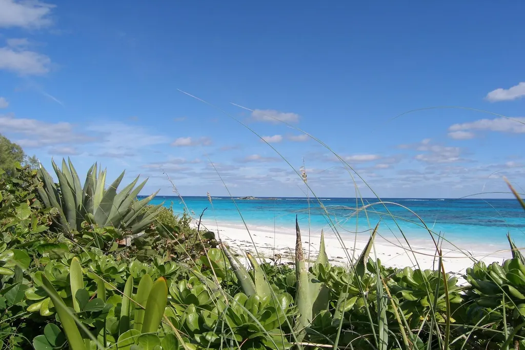 Plage Rose Beachfront Lot Eleuthera BS