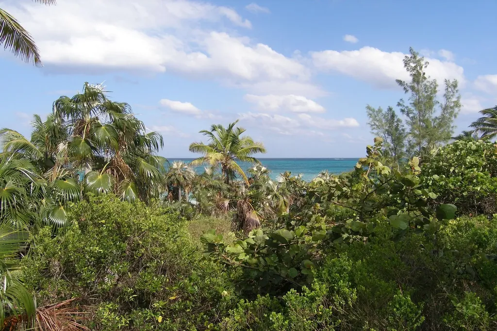 Plage Rose Beachfront Lot Eleuthera BS