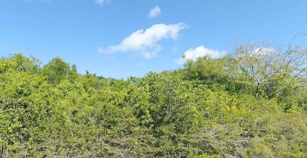 Lot 2, San Salvador San Salvador BS