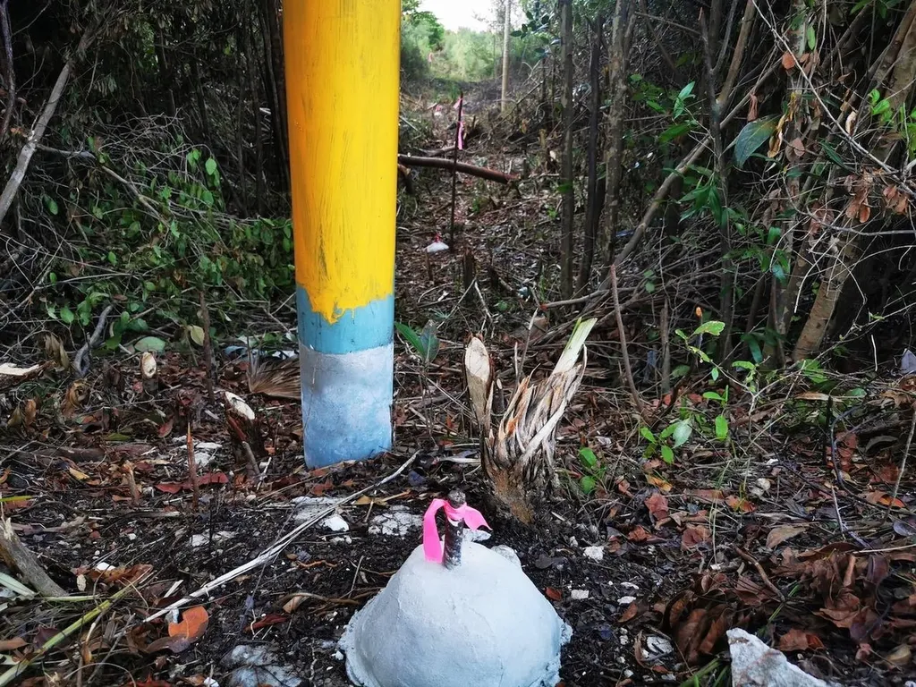 9 Acre Lot Off Carmichael Road New Providence Paradise Island BS