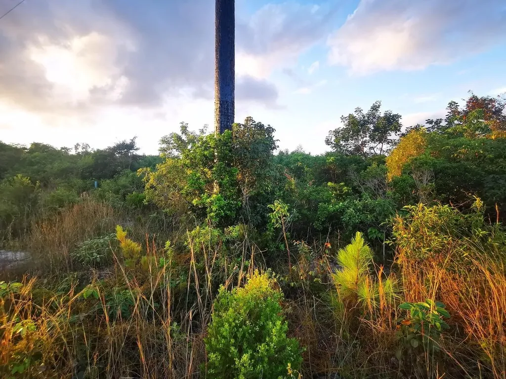 9 Acre Lot Off Carmichael Road New Providence Paradise Island BS