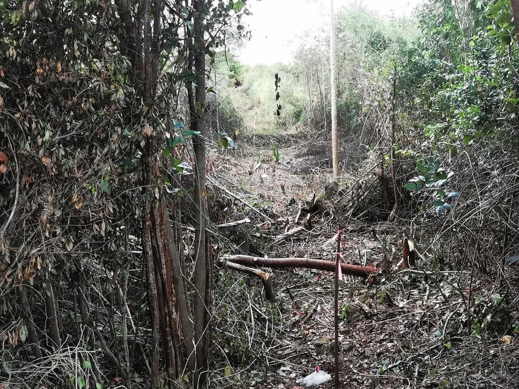 9 Acre Lot Off Carmichael Road New Providence Paradise Island BS