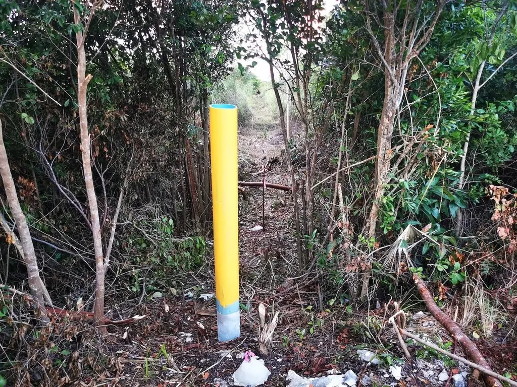 9 Acre Lot Off Carmichael Road New Providence Paradise Island BS