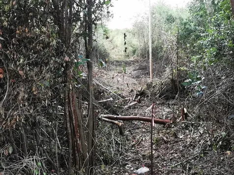 9 Acre Lot Off Carmichael Road New Providence Paradise Island BS