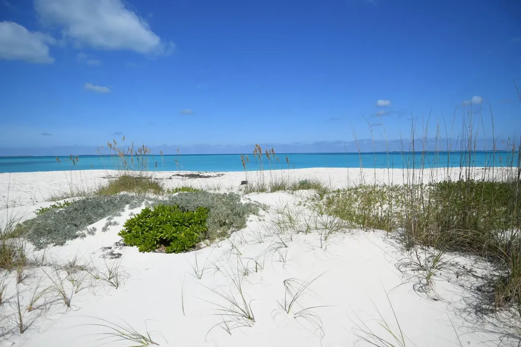 Banyan Crescent, Lot 9, Blk Abaco BS