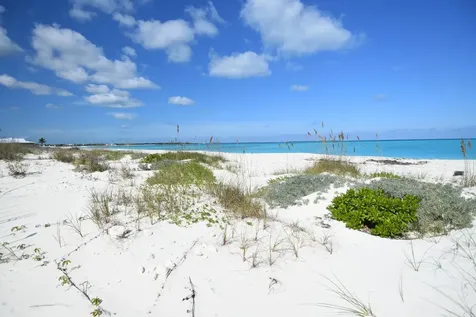 Banyan Crescent, Lot 9, Blk Abaco BS