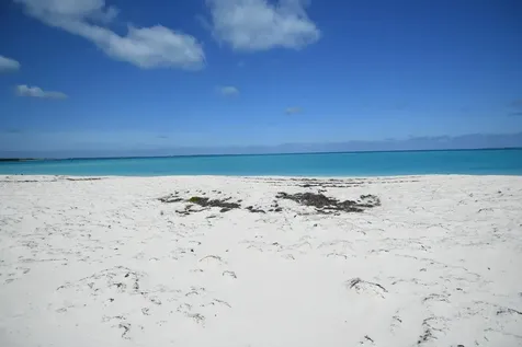 Banyan Crescent, Lot 9, Blk Abaco BS