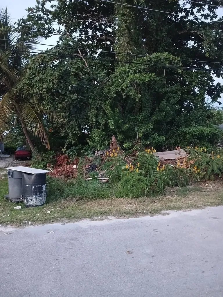 Kenilworth Avenue 18 New Providence Paradise Island BS