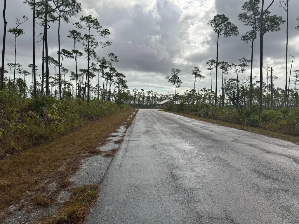 Chesapeake Lot 24 Grand Bahama Freeport BS