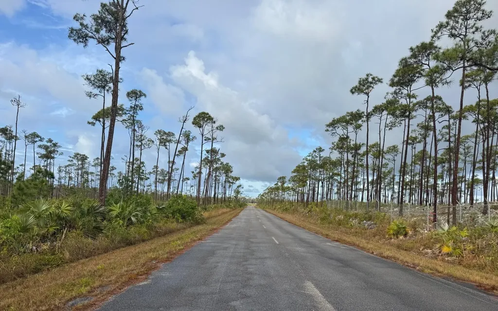 Chesapeake Lot 24 Grand Bahama Freeport BS