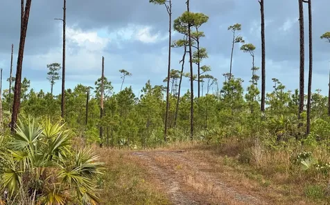 Chesapeake Lot 24 Grand Bahama Freeport BS