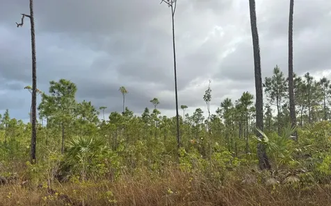 Chesapeake Lot 24 Grand Bahama Freeport BS