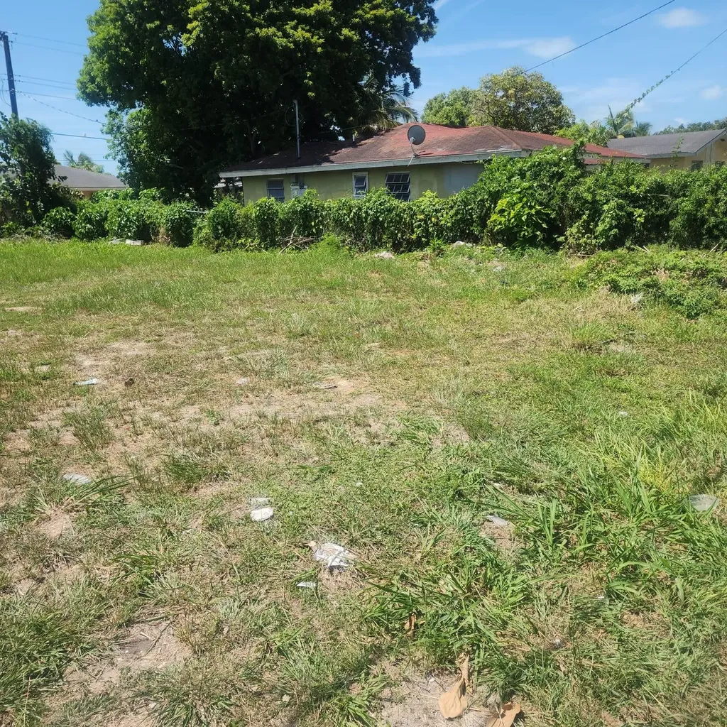 Bamboo Boulevard New Providence Paradise Island BS