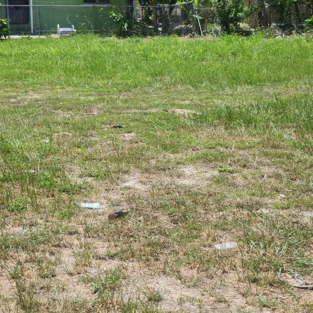 Bamboo Boulevard New Providence Paradise Island BS