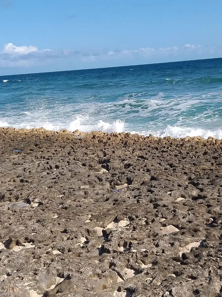 Nicholls Town Andros BS