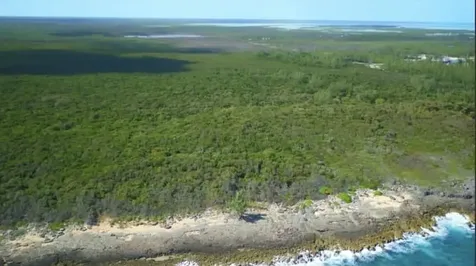 Nicholls Town Andros BS