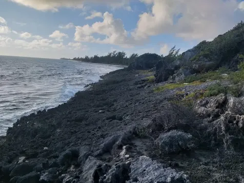 Nicholls Town Andros BS