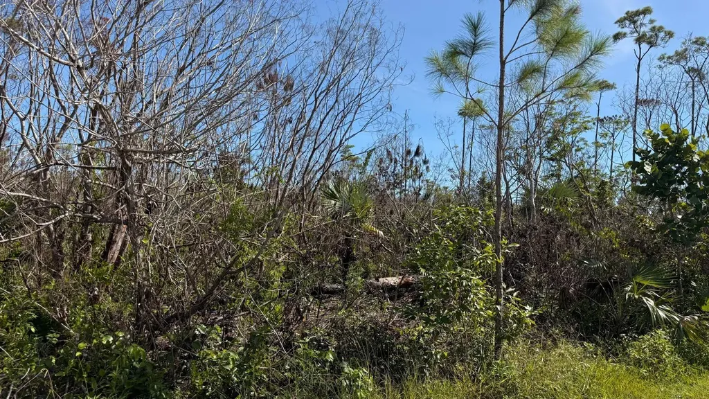 Cadwallader Drive 16 Grand Bahama Freeport BS